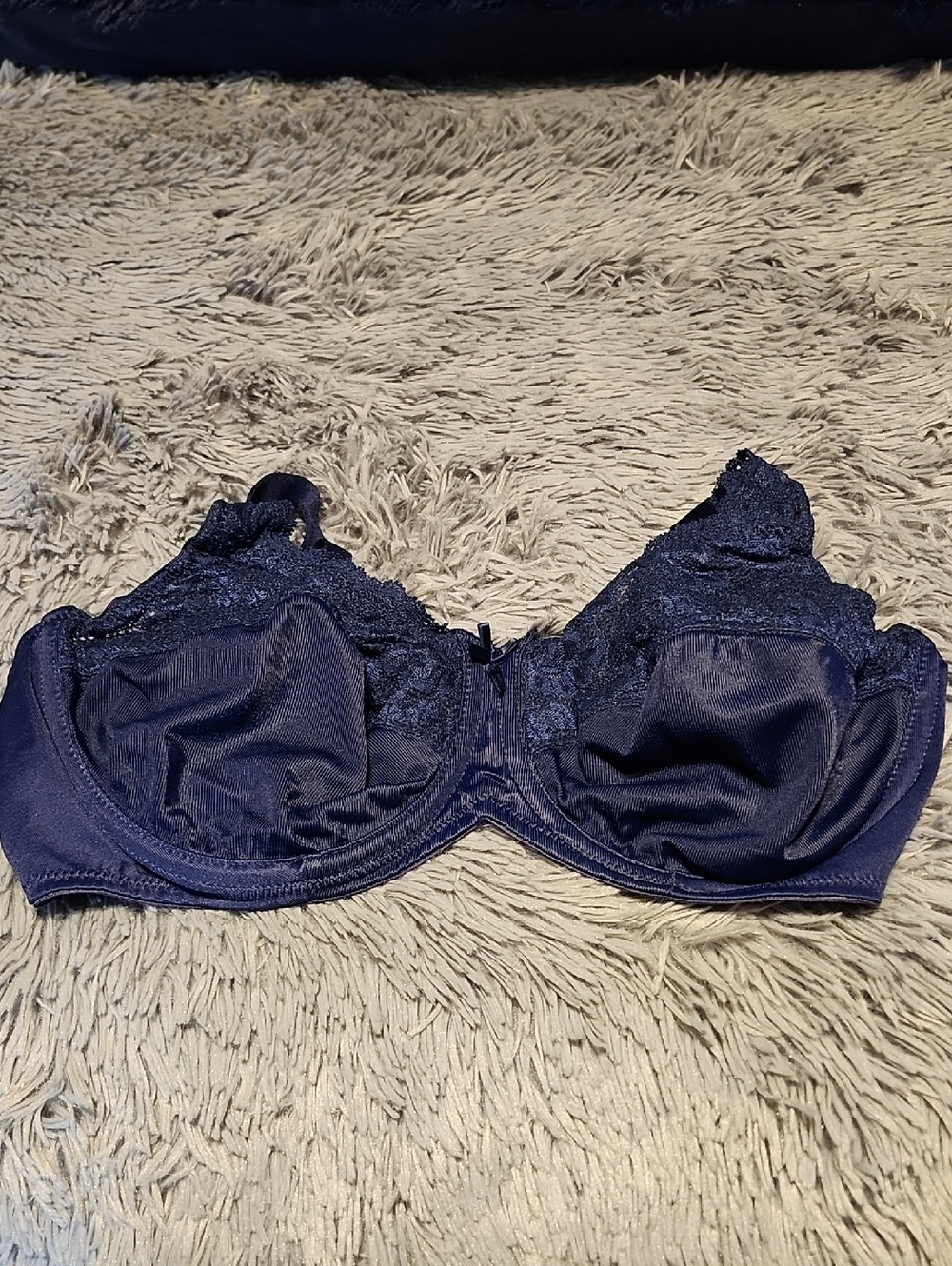 Lilyette NWOT bra 38D